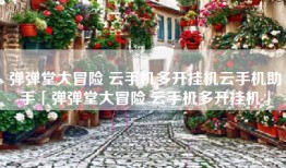 弹弹堂大冒险 云手机多开挂机云手机助手「弹弹堂大冒险 云手机多开挂机」