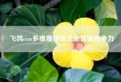 飞鸽crm多维度提高企业营销竞争力