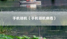 手机锁机（手机锁机病毒）
