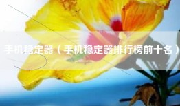 手机稳定器（手机稳定器排行榜前十名）