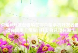 荣耀10开发者选项在哪荣耀手机开发者选项在哪里「荣耀10开发者选项在哪」