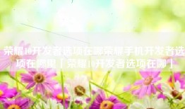 荣耀10开发者选项在哪荣耀手机开发者选项在哪里「荣耀10开发者选项在哪」