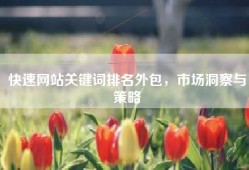 快速网站关键词排名外包，市场洞察与策略