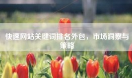 快速网站关键词排名外包，市场洞察与策略