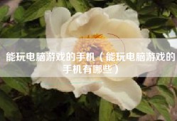 能玩电脑游戏的手机（能玩电脑游戏的手机有哪些）