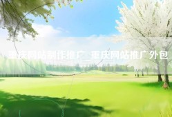 重庆网站制作推广_重庆网站推广外包