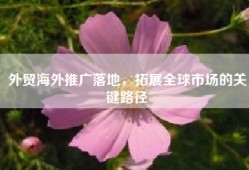 外贸海外推广落地，拓展全球市场的关键路径
