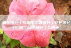 现在国产手机哪个品牌最好（现在国产手机哪个品牌最好什么牌子）