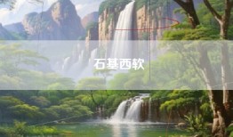 石基西软