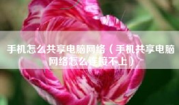 手机怎么共享电脑网络（手机共享电脑网络怎么连接不上）