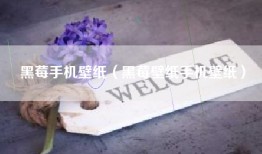 黑莓手机壁纸（黑莓壁纸手机壁纸）