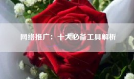 网络推广：十大必备工具解析