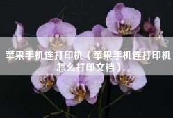 苹果手机连打印机（苹果手机连打印机怎么打印文档）