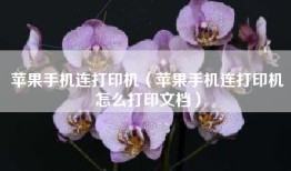 苹果手机连打印机（苹果手机连打印机怎么打印文档）