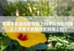 苹果手机能投影到墙上吗手机投影到墙上「苹果手机能投影到墙上吗」