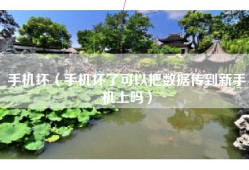 手机坏（手机坏了可以把数据传到新手机上吗）