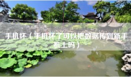 手机坏（手机坏了可以把数据传到新手机上吗）