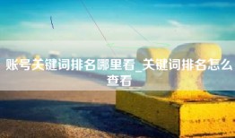 账号关键词排名哪里看_关键词排名怎么查看