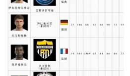 实况足球2017任意球排名前十球员脸型一览，顶尖高手尽显风采
