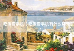 吃饭看手机（吃饭看手机有什么坏处）