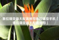 泰拉瑞亚最大配置推荐泰拉瑞亚手机「泰拉瑞亚最大配置推荐」