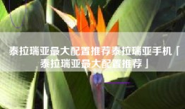 泰拉瑞亚最大配置推荐泰拉瑞亚手机「泰拉瑞亚最大配置推荐」
