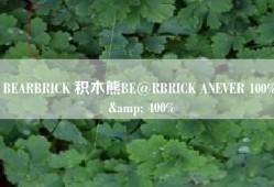 BEARBRICK 积木熊BE@RBRICK ANEVER 100% & 400%