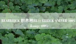 BEARBRICK 积木熊BE@RBRICK ANEVER 100% & 400%