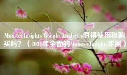 MonsterInsights Google Analytics值得使用和购买吗？（2021年全面的MonsterInsights评测）