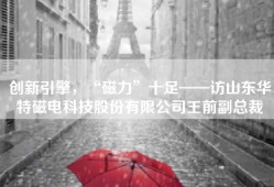 创新引擎，“磁力”十足——访山东华特磁电科技股份有限公司王前副总裁
