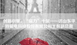 创新引擎，“磁力”十足——访山东华特磁电科技股份有限公司王前副总裁