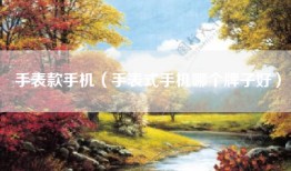 手表款手机（手表式手机哪个牌子好）