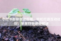 小红书群聊创建指南，轻松打造互动社区，掌握群聊建设秘诀