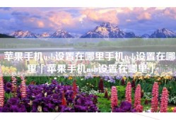 苹果手机usb设置在哪里手机usb设置在哪里「苹果手机usb设置在哪里」