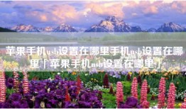 苹果手机usb设置在哪里手机usb设置在哪里「苹果手机usb设置在哪里」