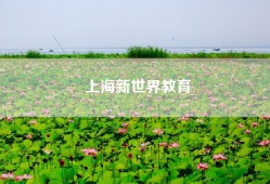 上海新世界教育