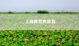 上海新世界教育