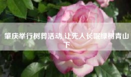 肇庆举行树葬活动 让先人长眠绿树青山下