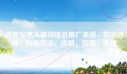 百度贴吧关键词排名推广渠道，如何选择，判断方法，攻略，指南，流程