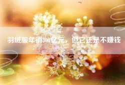 羽绒服年销300亿元，但它还是不赚钱