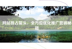 网站独占鳌头，全方位优化推广营销秘籍