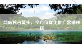 网站独占鳌头，全方位优化推广营销秘籍