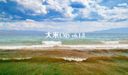 大米CMS v6.1.8