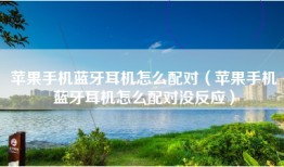 苹果手机蓝牙耳机怎么配对（苹果手机蓝牙耳机怎么配对没反应）