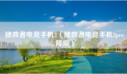 拯救者电竞手机2（拯救者电竞手机2pro降级）
