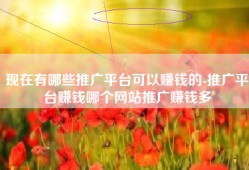 现在有哪些推广平台可以赚钱的-推广平台赚钱哪个网站推广赚钱多