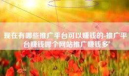 现在有哪些推广平台可以赚钱的-推广平台赚钱哪个网站推广赚钱多