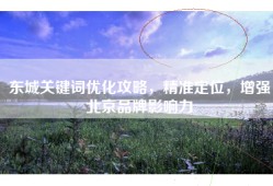 东城关键词优化攻略，精准定位，增强北京品牌影响力