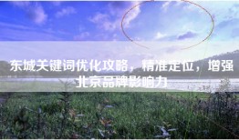 东城关键词优化攻略，精准定位，增强北京品牌影响力