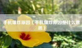 手机爆炸原因（手机爆炸原因是什么意思）